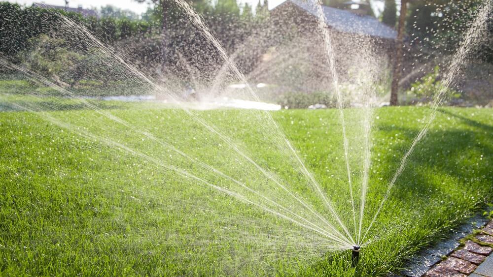 Enhance-Your-Landscape-with-Hunter-MP-Rotators-and-PRS-Heads-2351949932